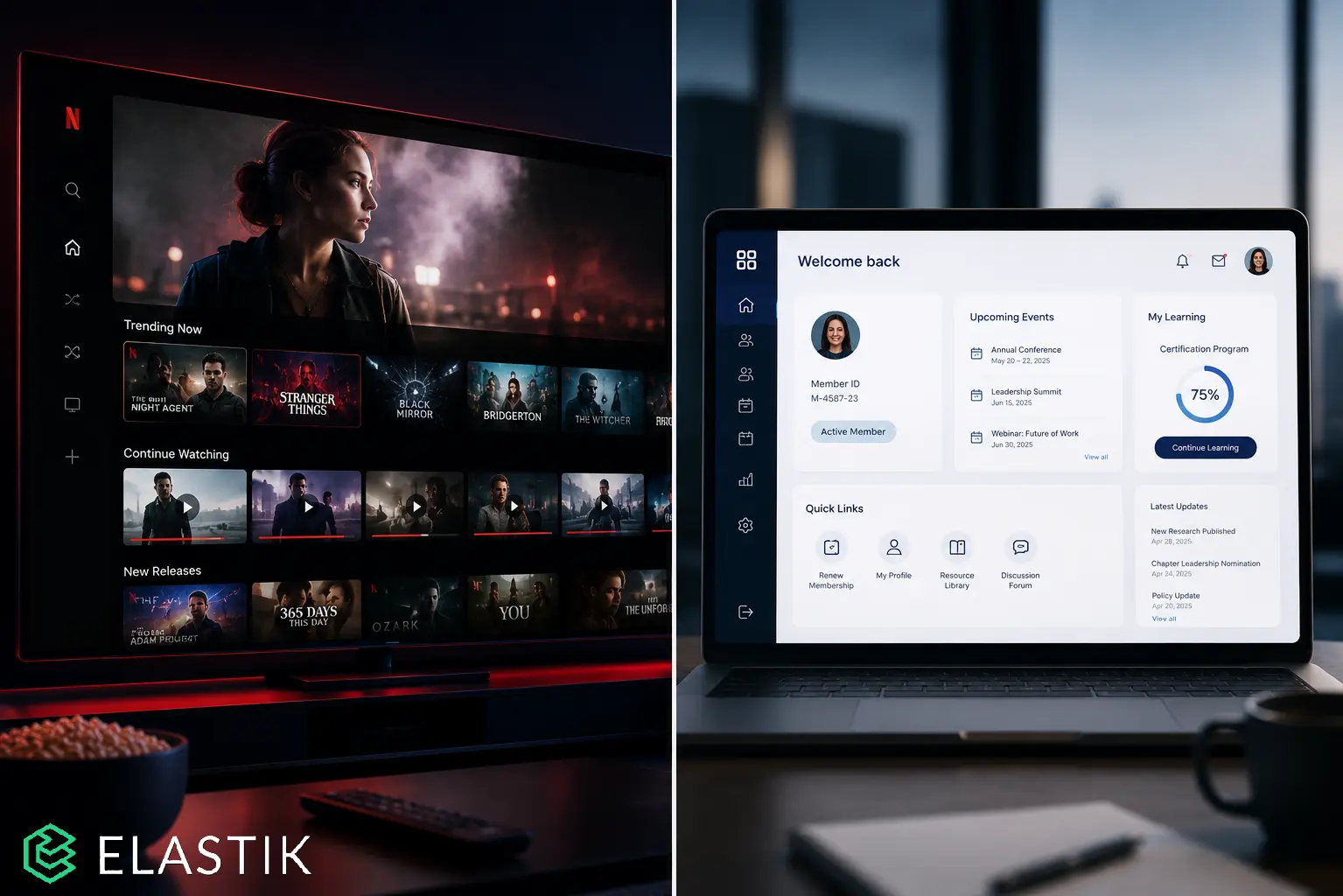 Netflix vs Member Portal Comparison